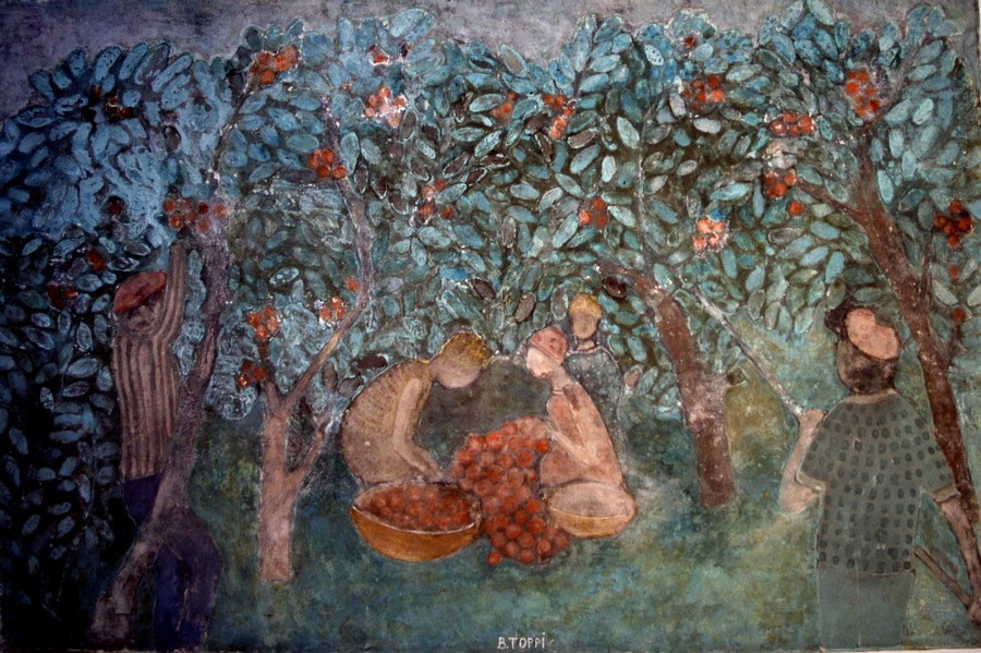 la récolte des oranges