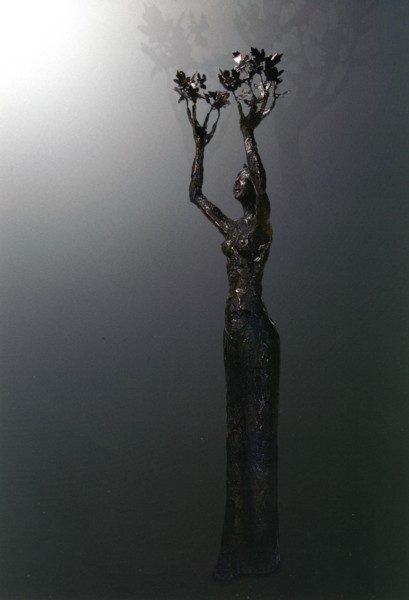 Donato DIEZ Primavera